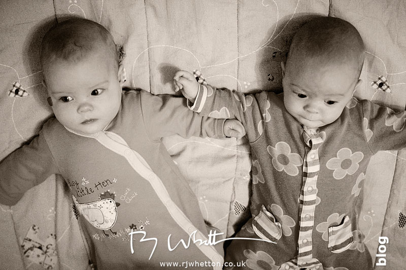 Harper and Scout Harper and Scout laying together - Baby Portraits - Professional Portraits Dorset