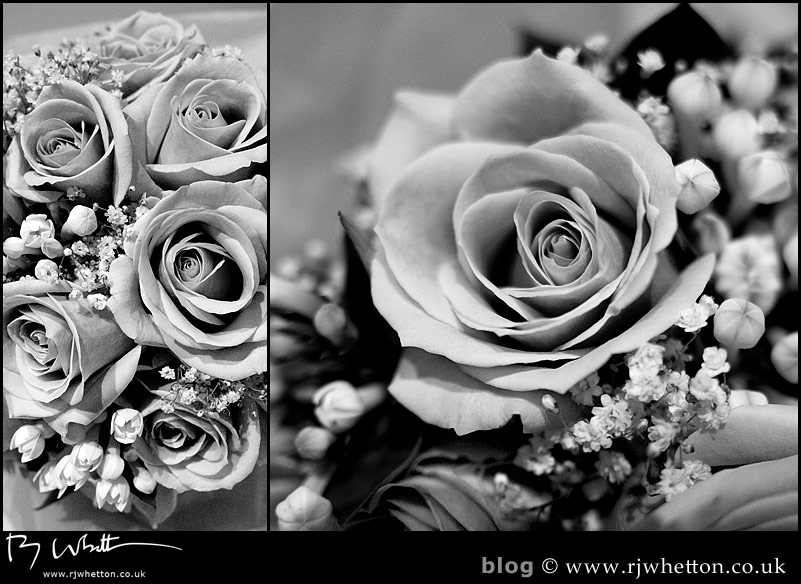 Beautiful Roses Beautiful Roses - Professional Wedding Photography Dorset