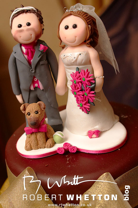 Amazing cake topper Newbury Wedding Photography - second shooting for Boundless Photos