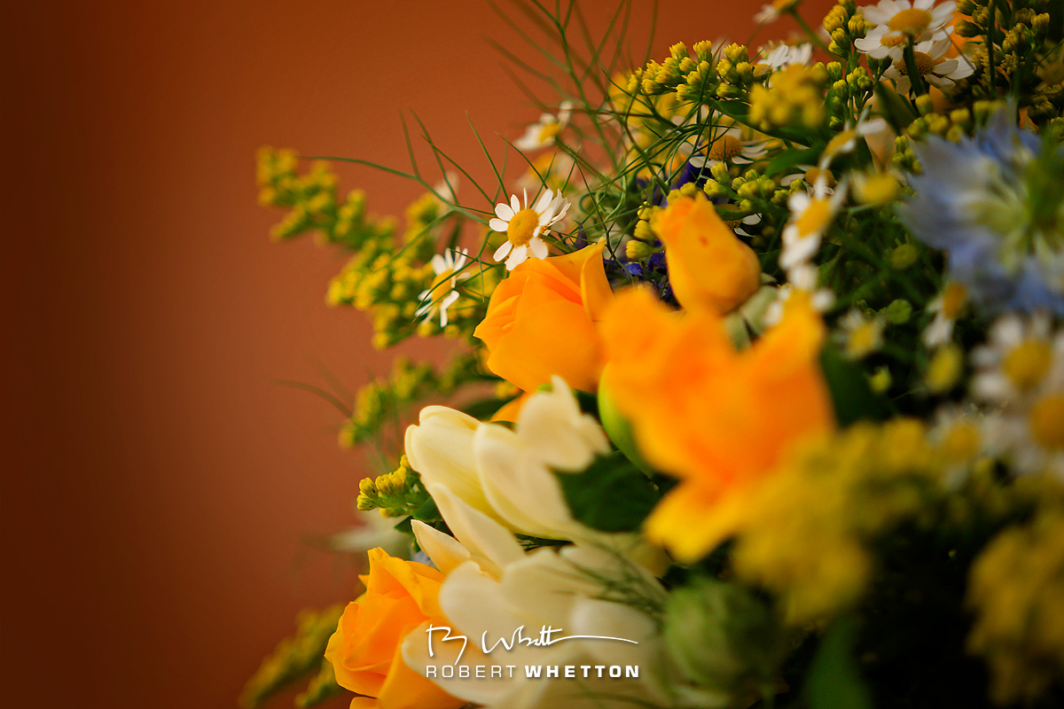 IMAGE: http://www.photographs.rjwhetton.co.uk/forums/Rachael-Rob-Wedding-May-19-110620-8410-7D-Mark-II.jpg